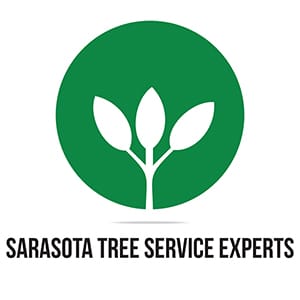 sarasota tree service experts